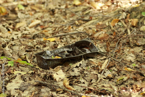 Barquette en plastique jet  e dans la nature