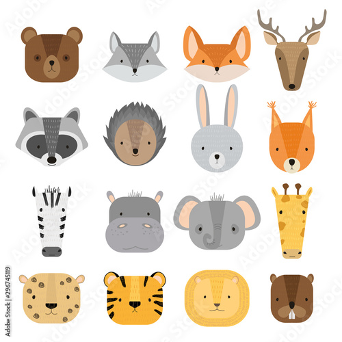 Fototapeta Naklejka Na Ścianę i Meble -  Vector set of cute forest and jungle animals. Wild cartoon animals: raccoon, deer, squirrel, hedgehog, hare, bear, fox, beaver, wolf, lion, cheetah, tiger, zebra, elephant, hippo, giraffe.