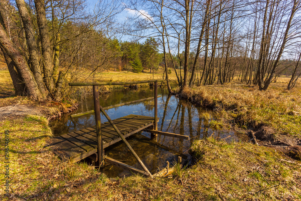 Small pond surrounded by forest, Dziemiany, Poland.