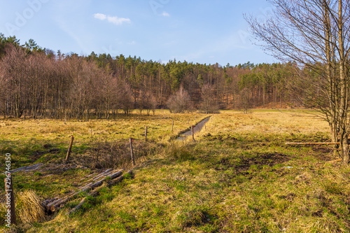 Small river with a wooden log bridge, Dziemiany, Poland. photo