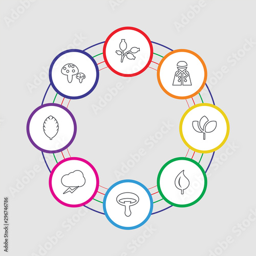 8 colorful stroke icons set included mushroom, leaf, storm, mushroom, leaf, leaf, raincoat, rosa canina