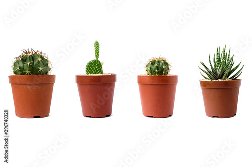 Cactus plants set of desert among sand and rocks. Realistic isolated on white background