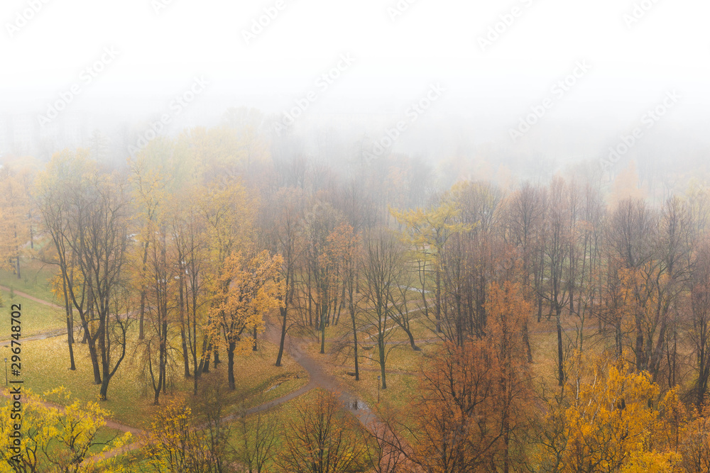 Fototapeta premium Autumn park in fog. Top view. Isolated on white. Fall landscape.
