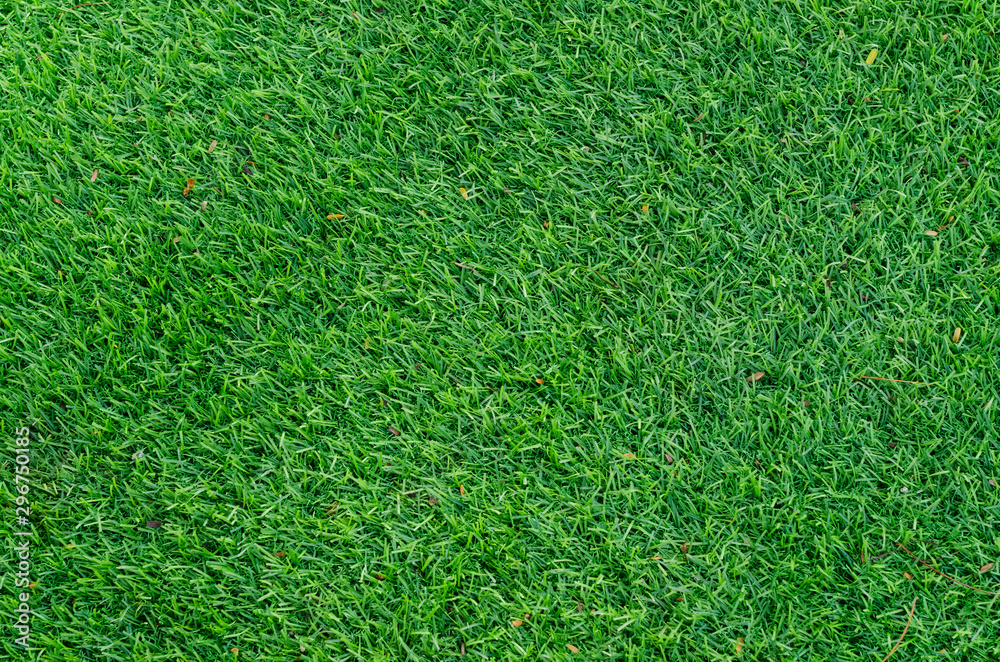 Green grass texture for background. Green lawn pattern and texture background. Close-up. Green grass texture for background. Green lawn pattern and texture background. Close-up.