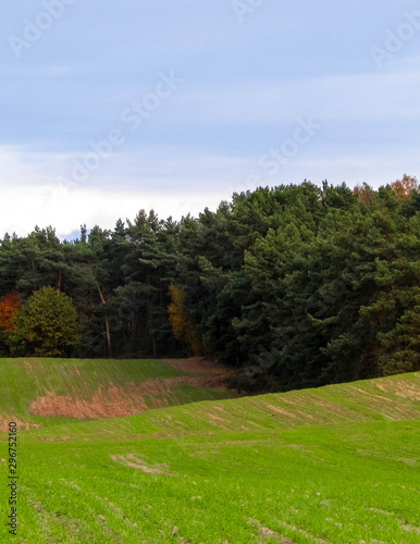 Green field and hills. Nature of northern Poland.