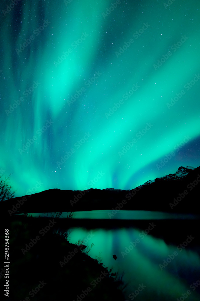 Aurora reflecting in water. Green northern lights above dark mountain landscape with lake. Silhouttes of plants in foreground.