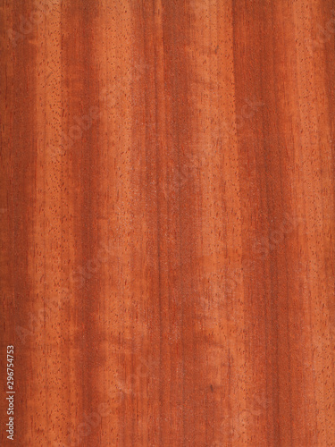 Natural wooden texture background. Amboyna wood. Pterocarpus indicus