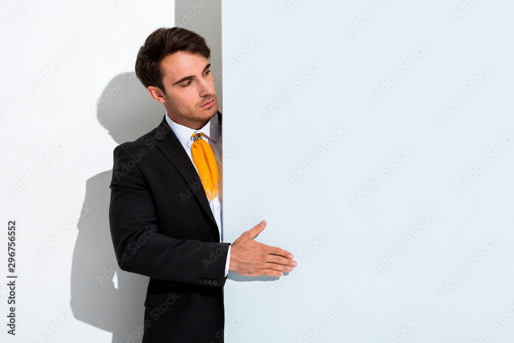 stylish and handsome man in formal wear on white stylish and handsome man in formal wear on white