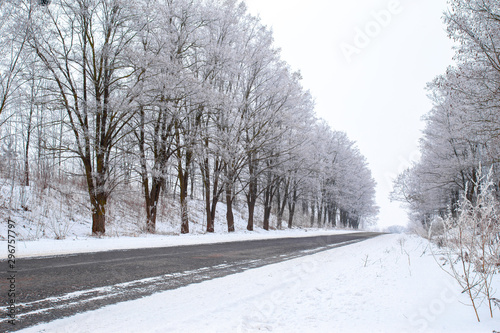 Rural asphalt road with trees covered up in hoar frost. © Garmon
