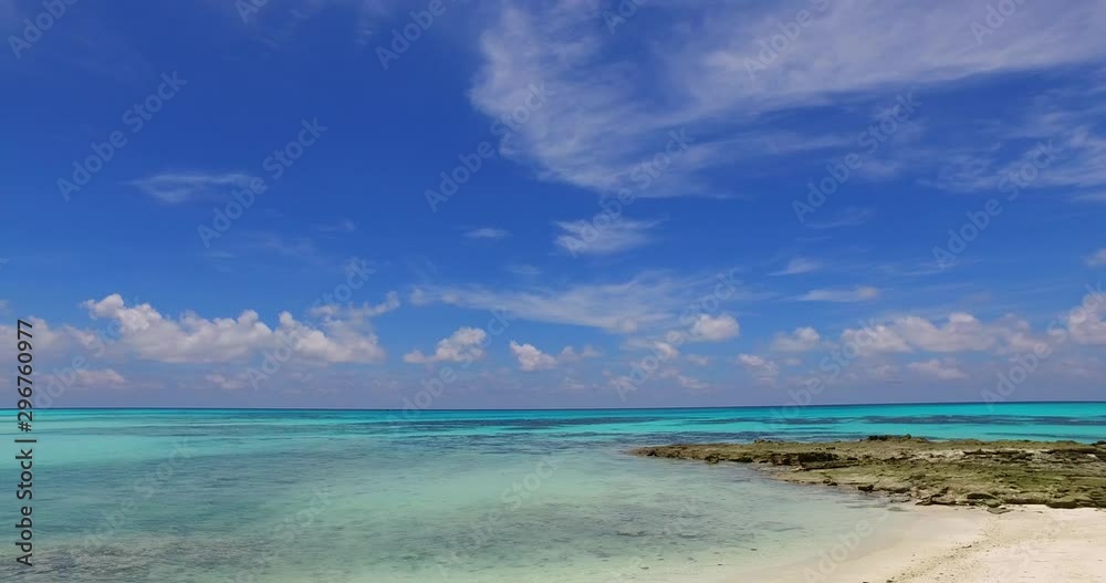 Aerial view of an tropical beach forest Aerial view of an tropical beach forest
