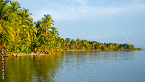 Bocas del Toro island with landscape of tropical beach shore with palm trees at Boca del Drago.