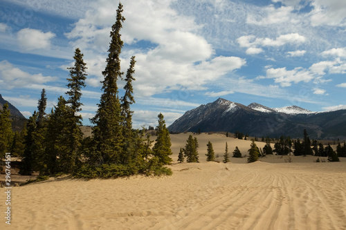 Desert in Carcross