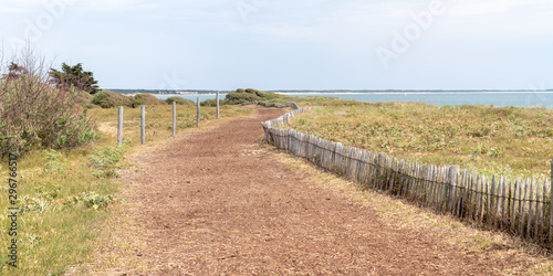 Fototapeta Naklejka Na Ścianę i Meble -  sand foot path access beach Saint vincent sur jard in vendee France