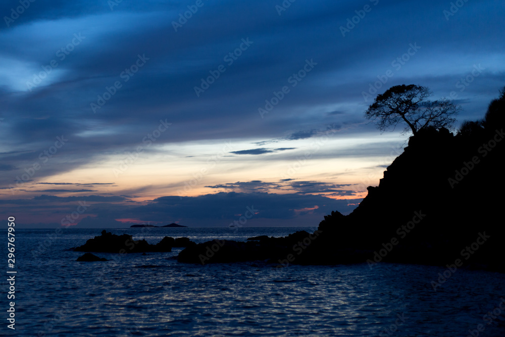 Tree silhouette on sea sunset background.