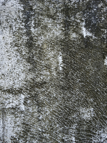 mold on wall texture