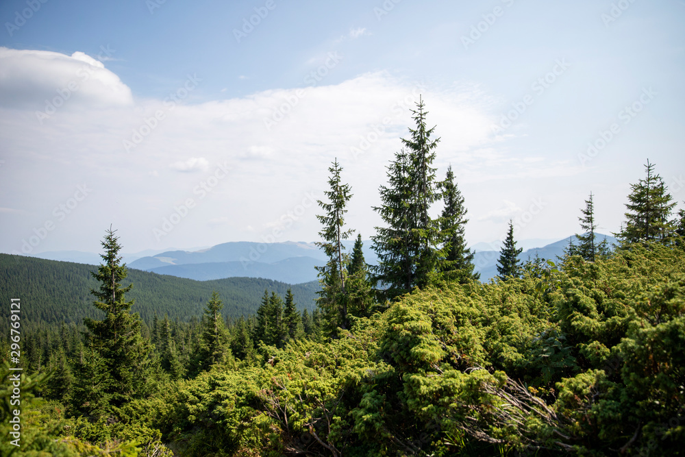 Beautiful landscape of mountains and forests against the blue sky. Travel concept.