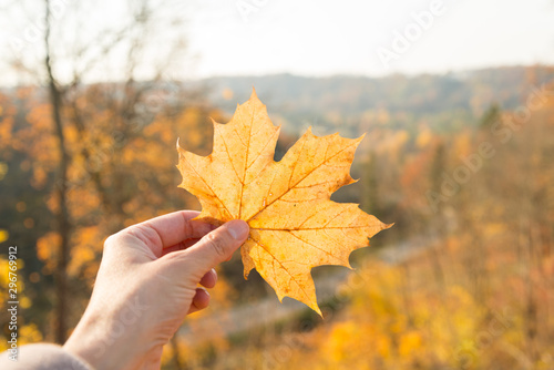 Maple leaf in a female hand on an autumn day
