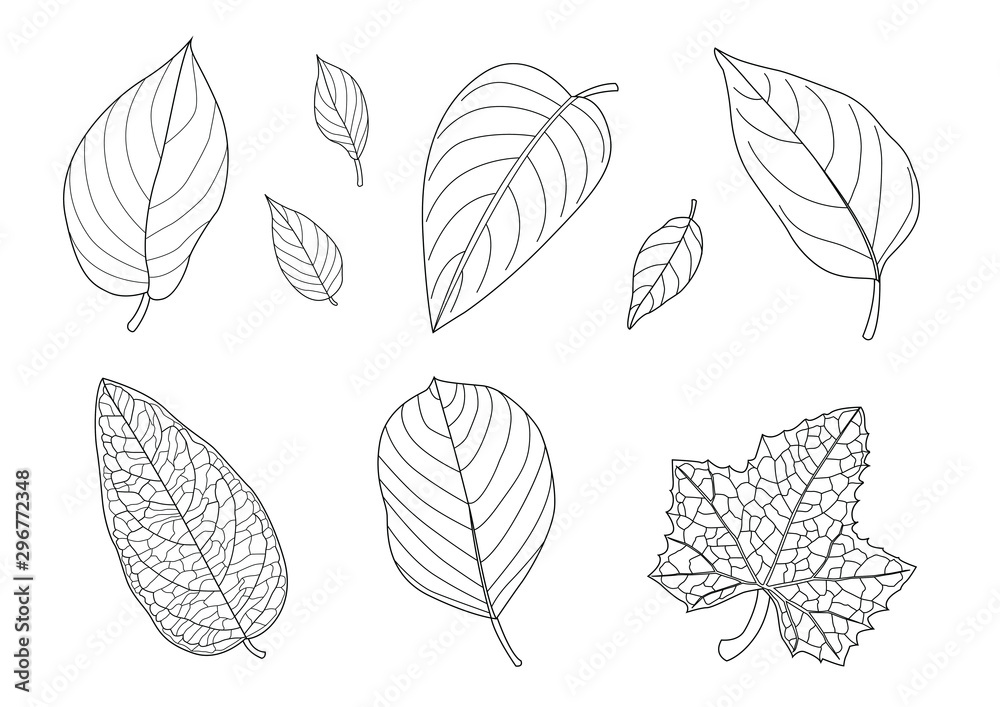 Leaves line single leaf and leaf pattern black Bring to color decorate on white background illustration  vector