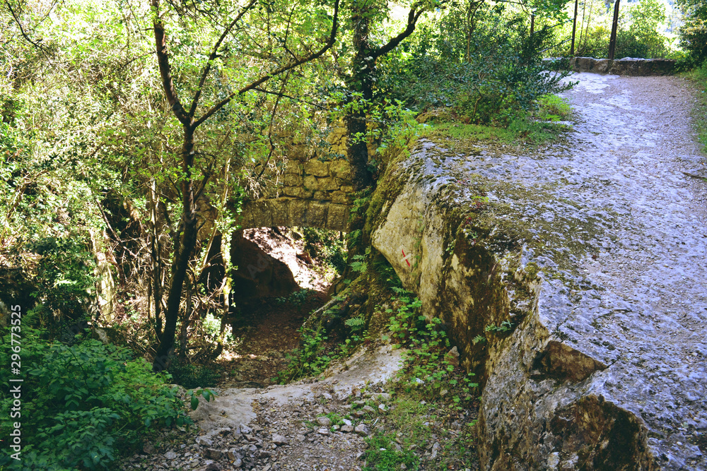 Obraz premium Chemin de Provence