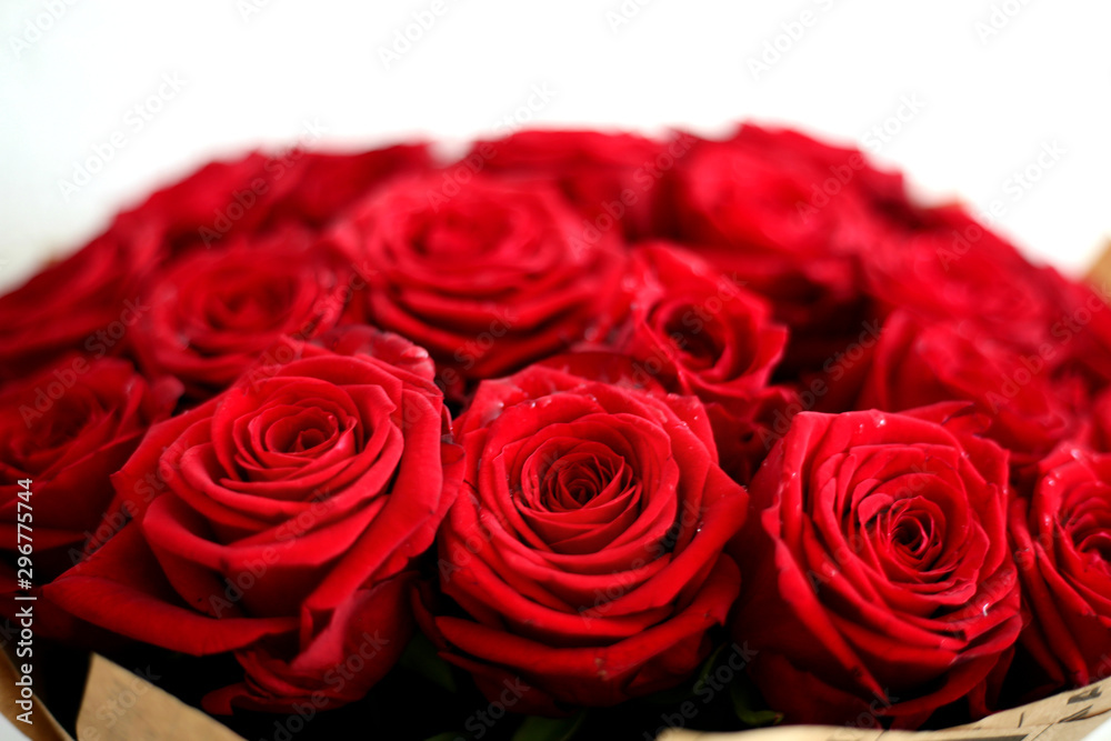 Luxurious bouquet of red roses. Beautiful flowers. Luxurious bouquet of red roses. Beautiful flowers.