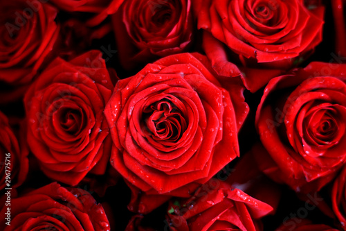 Luxurious bouquet of red roses. Beautiful flowers.