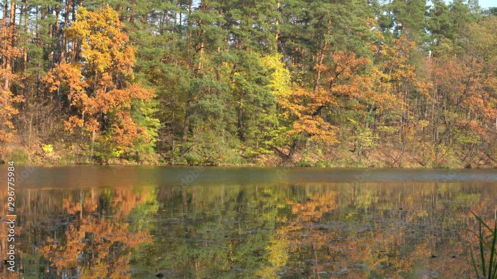 Lake in the autumn forest. Forest lake in the autumn forest. Autumn landscape with a lake and forest. Lake in the autumn forest. Forest lake in the autumn forest. Autumn landscape with a lake and forest.