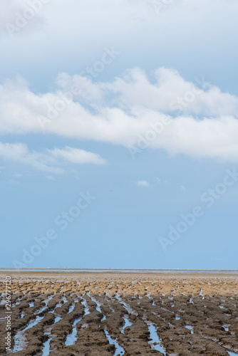 marée basse à l'océan. vue sur le sable et un ciel orageux © david