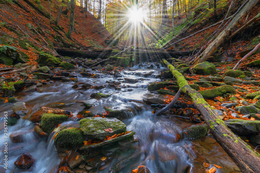 Picture of autumn Carpathian forest with spring water and waterfall, strewn with yellow and red leaves and sunlight through the foliage of trees. Picture of autumn Carpathian forest with spring water and waterfall, strewn with yellow and red leaves and sunlight through the foliage of trees.