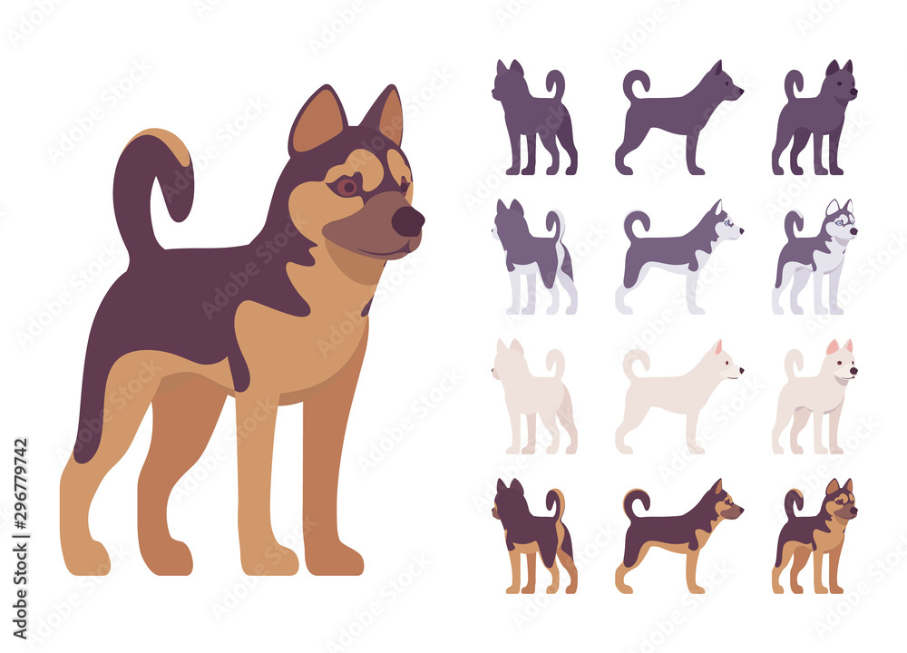 Black, White dog, Husky, Shepherd standing set. Pet, family companion, home guarding, farm or police security breed. Vector flat style cartoon illustration isolated, white background, different views