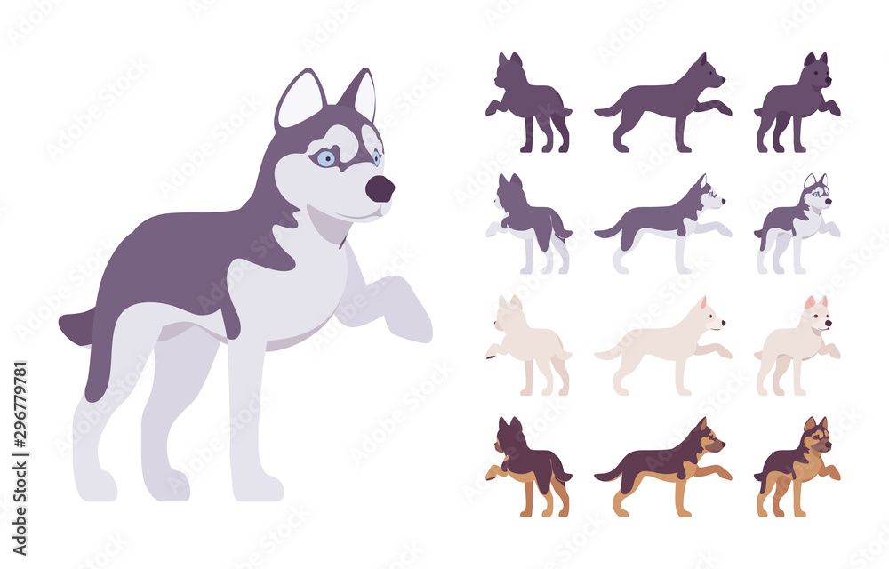 Black, White dog, Husky, Shepherd giving paw set. Pet, family companion, home guarding, farm, police security breed. Vector flat style cartoon illustration isolated, white background, different views