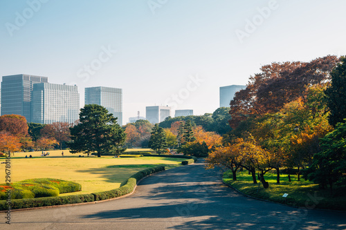 Εκτύπωση καμβά Imperial Palace East Gardens and modern buildings at autumn in Tokyo, Japan