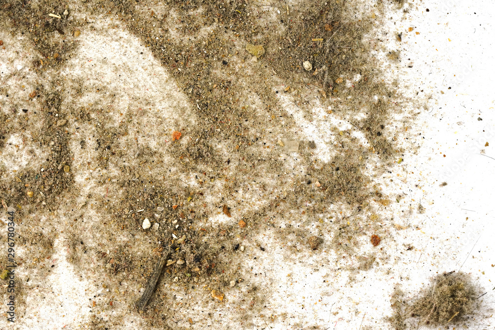 Trash, dust, dirt isolated on a white background closeup. texture of garbage from a vacuum cleaner Trash, dust, dirt isolated on a white background closeup. texture of garbage from a vacuum cleaner