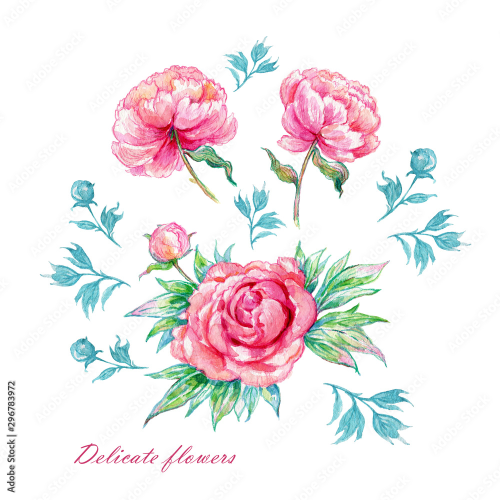 Watercolor hand painted illustration of beautiful peonies with foliage