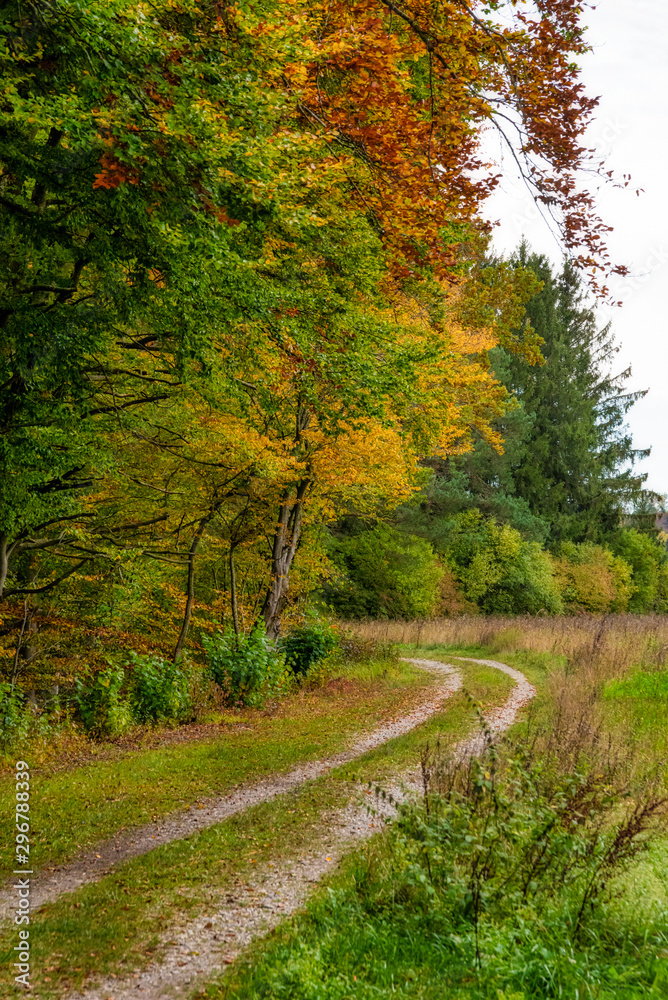 Feld- und Wanderweg im Herbst