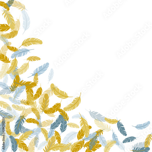 Fluffy twirled feathers on white design.