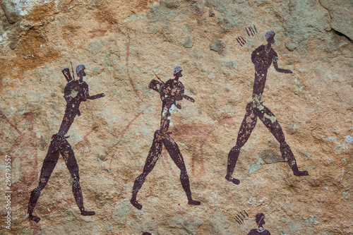 African bushman rock art
