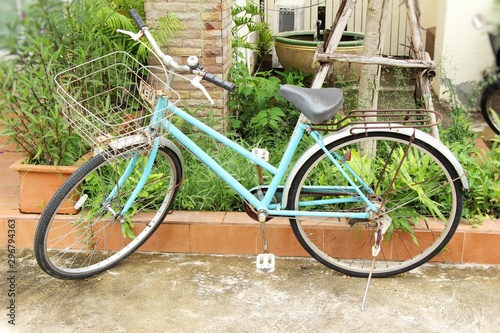 Old bicycle vintage style with the nature