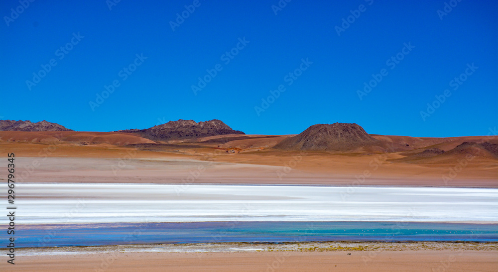 Fototapeta premium Laguna colorada en Bolivie