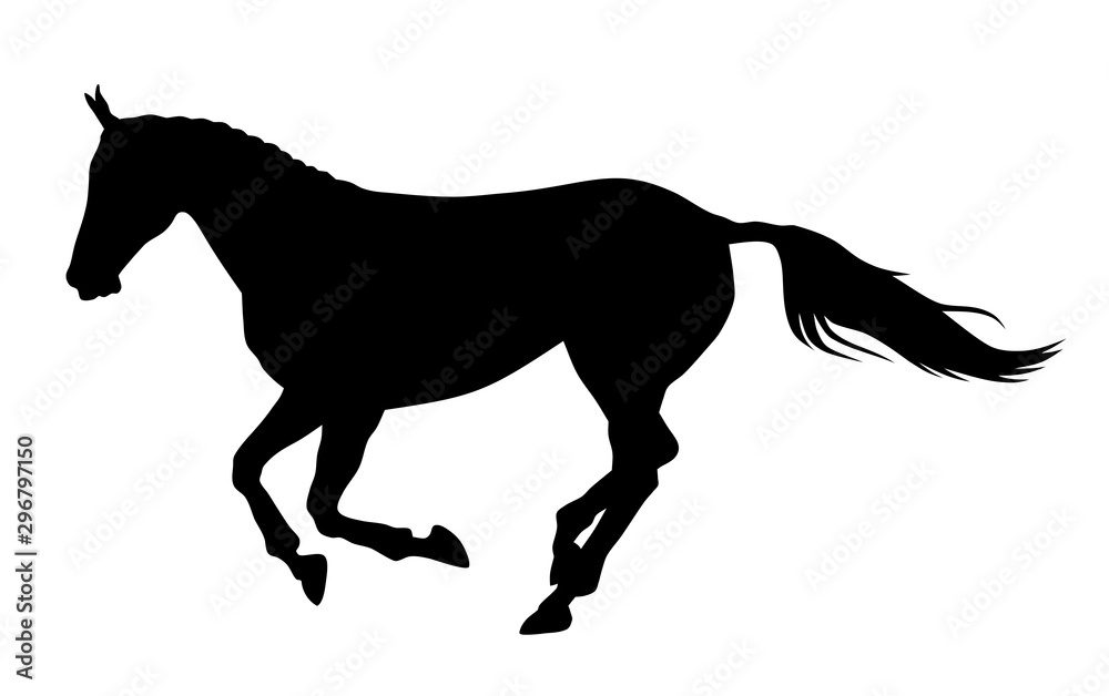 Horse Horse