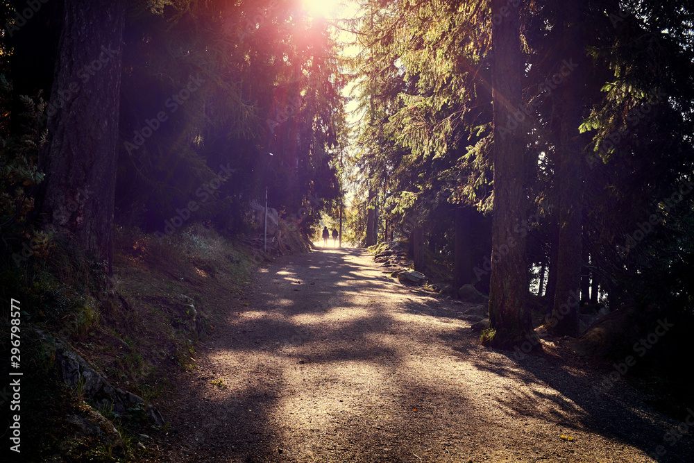 Fototapeta premium beautiful park and walkway in back light with sunbeam and silhouettes of walkers (Strbske Pleso lake, Slovakia)