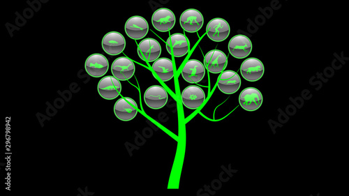 Green neon icons about the evolution of species. Animals icons vector. 