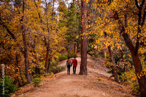 Walking through fall © Brady