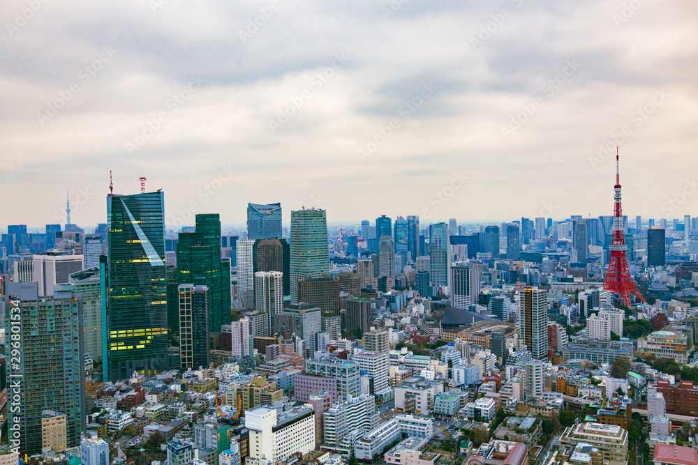 Fototapeta premium Tokyo Skyline
