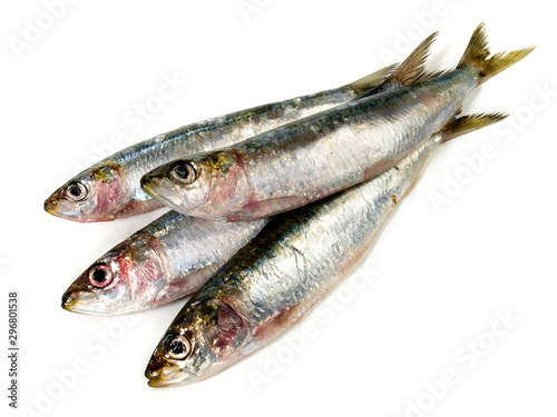 Sardines - Pilchard Fish on White