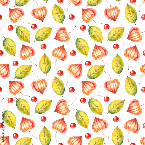 Watercolor pattern with bright illustrations of leaves and physalis on a white background. Hand painted