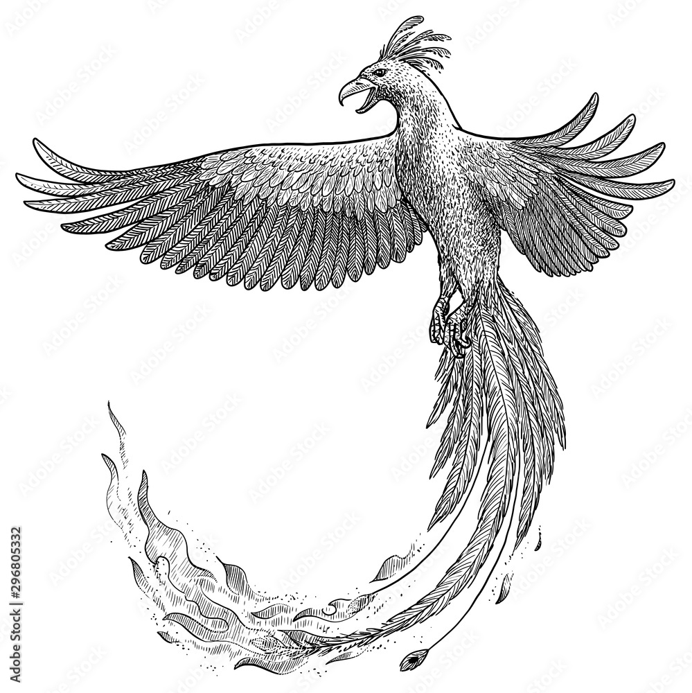 Phoenix illustration, drawing, engraving, ink, line art, vector Stock