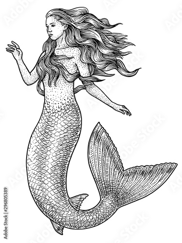 Fotografiet Mermaid illustration, drawing, engraving, ink, line art, vector