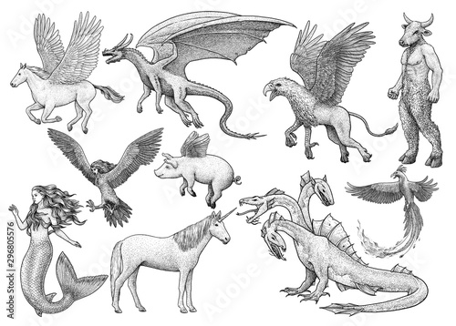 Fototapeta Naklejka Na Ścianę i Meble -  Mythological creatures, illustration, drawing, engraving, ink, line art, vector