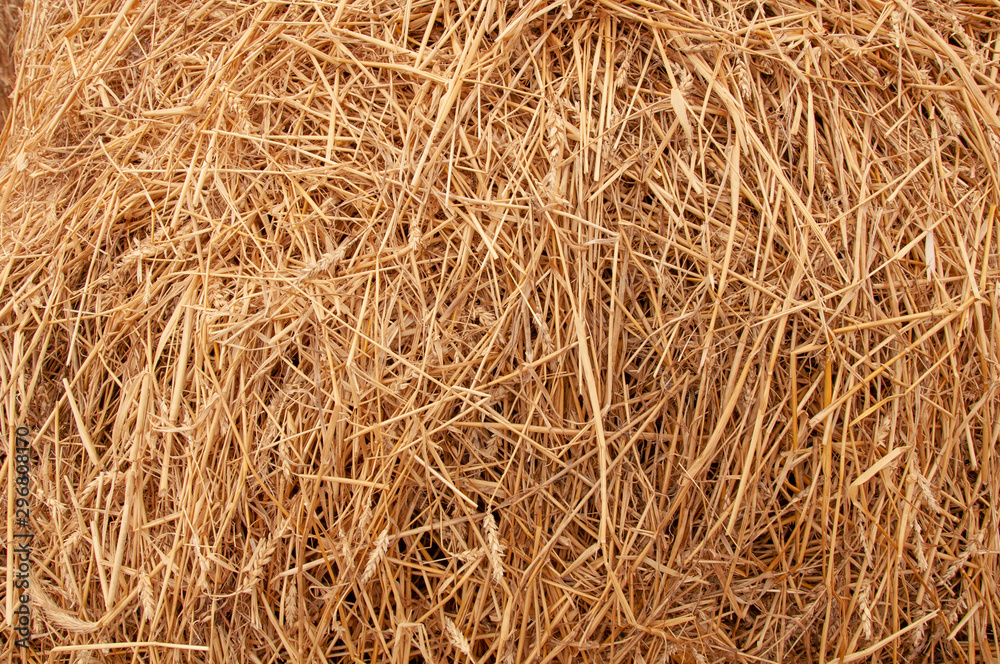 Hay background. Hay in the village closeup texture Hay background. Hay in the village closeup texture