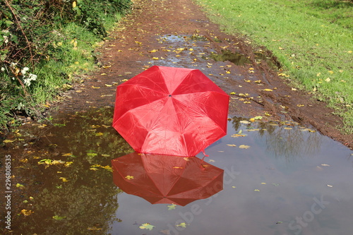 der rote Schirm 
